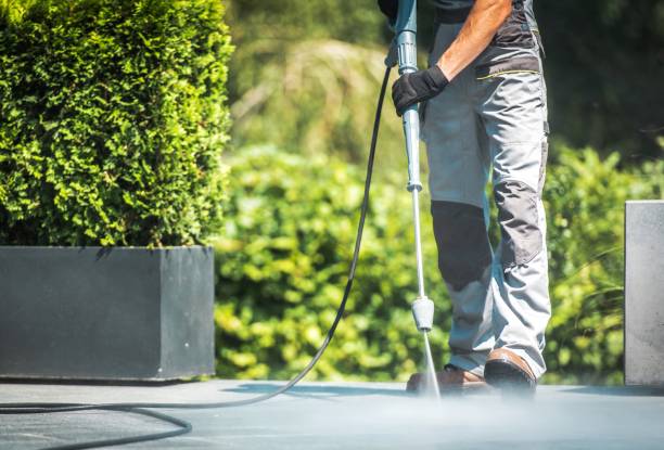 Best Solar Panel Cleaning  in New Albany, IN
